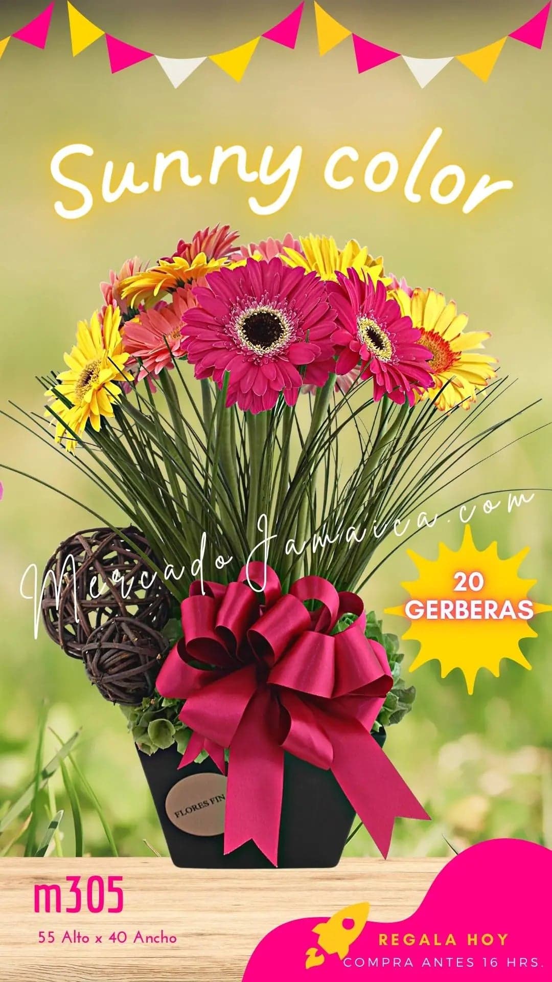 20 Gerberas Colores Vibrantes CDMX a Domicilio