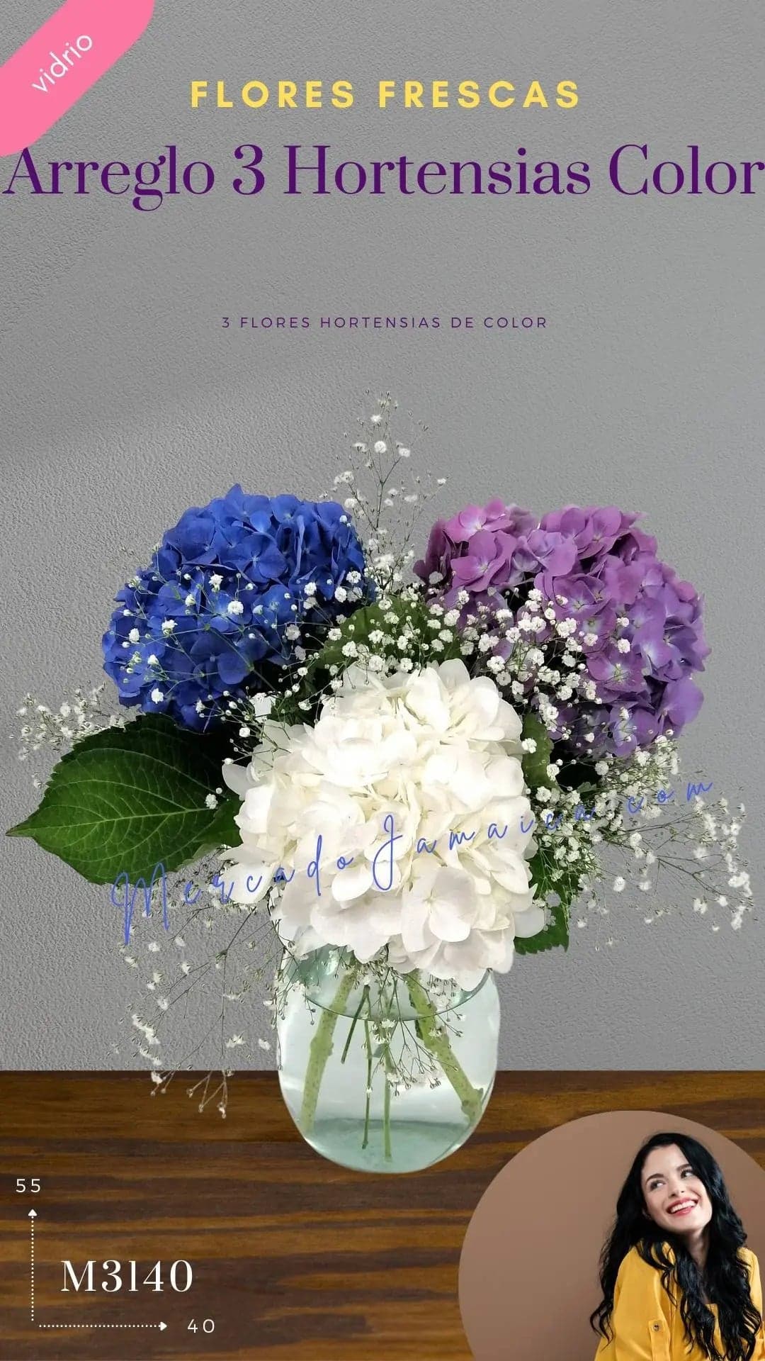 Arreglo 3 Hortensias Azul, Lila y Blanco CDMX