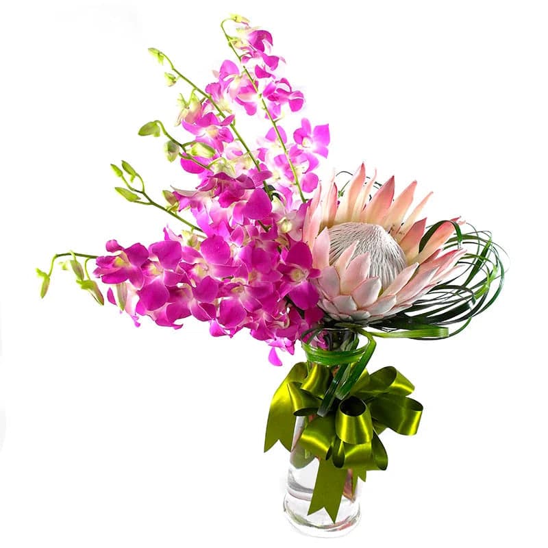 Arreglo Orquídeas Dendrobium y Protea King CDMX