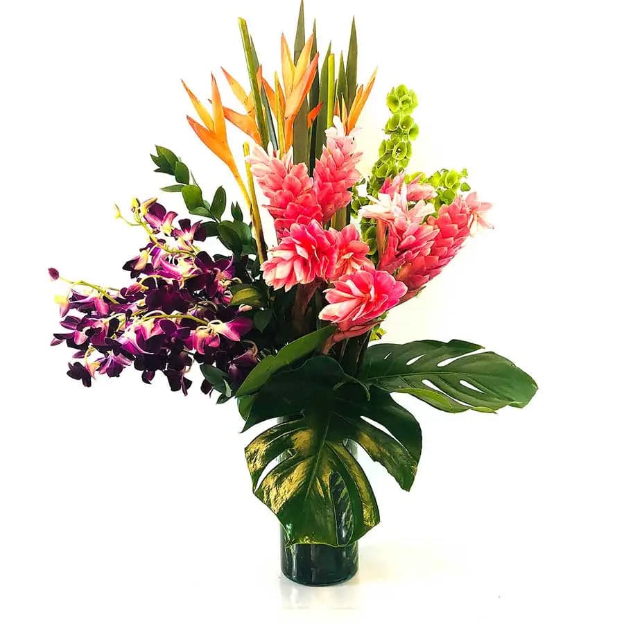 Arreglo 10 Orquídeas Dendrobium Lila CDMX