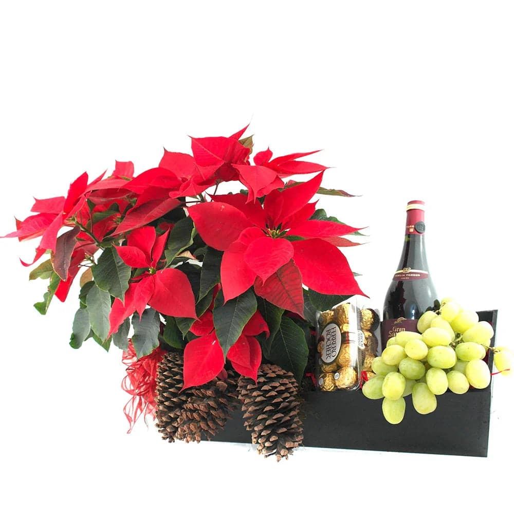 Arreglo Navideño con Vino y Nochebuena CDMX