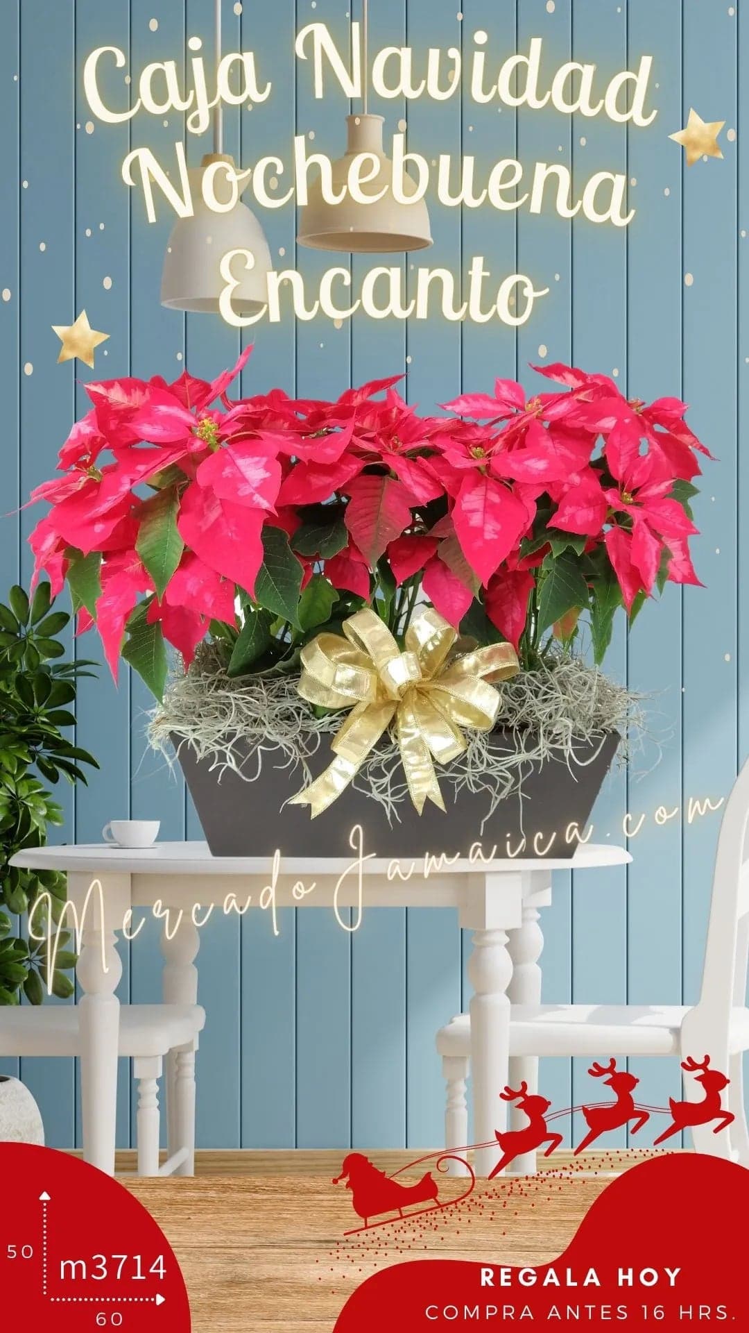 Caja Navidad 3 Nochebuenas con Piñas CDMX