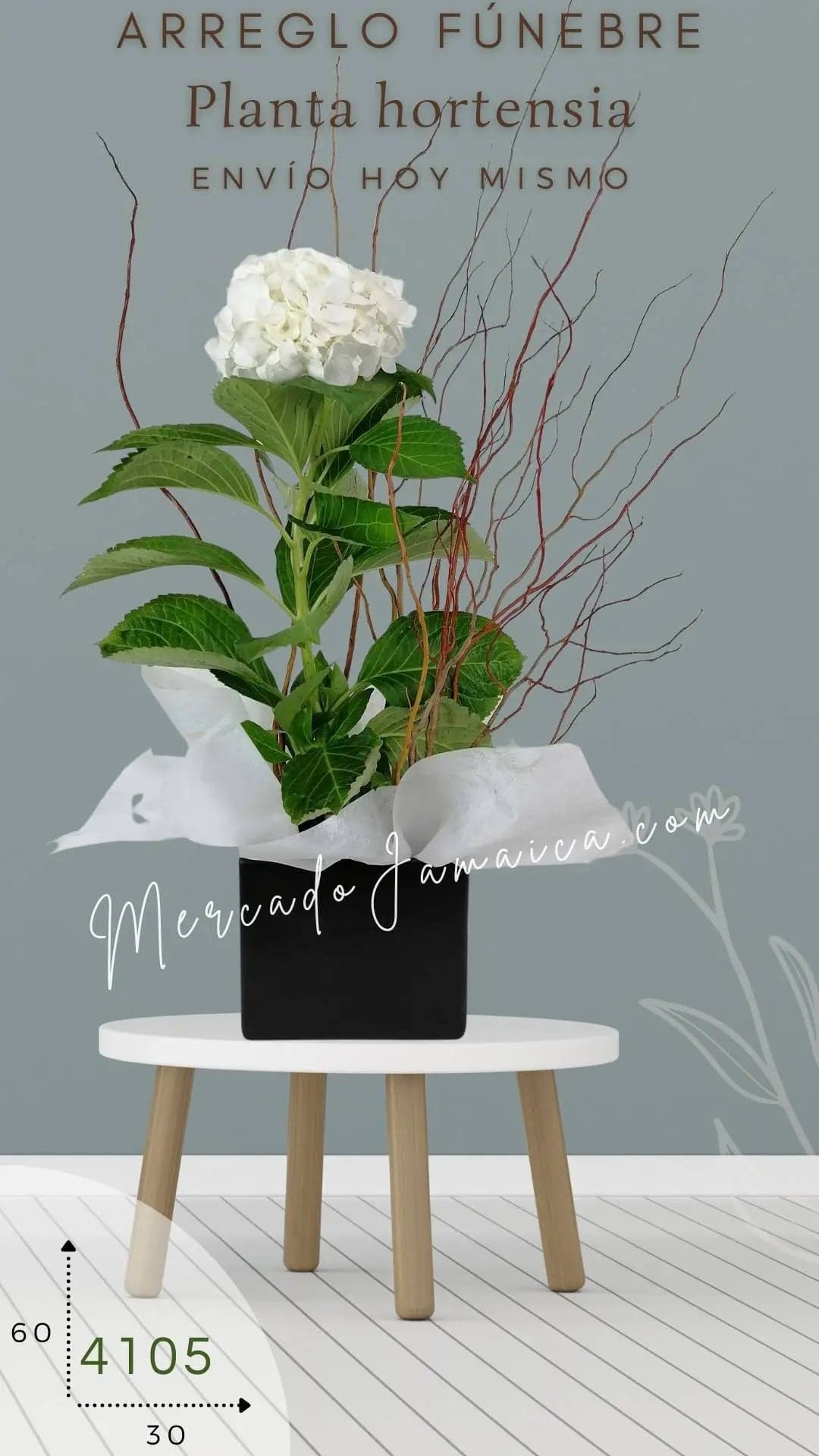 Hortensia Blanca Fúnebre en Base Cerámica CDMX