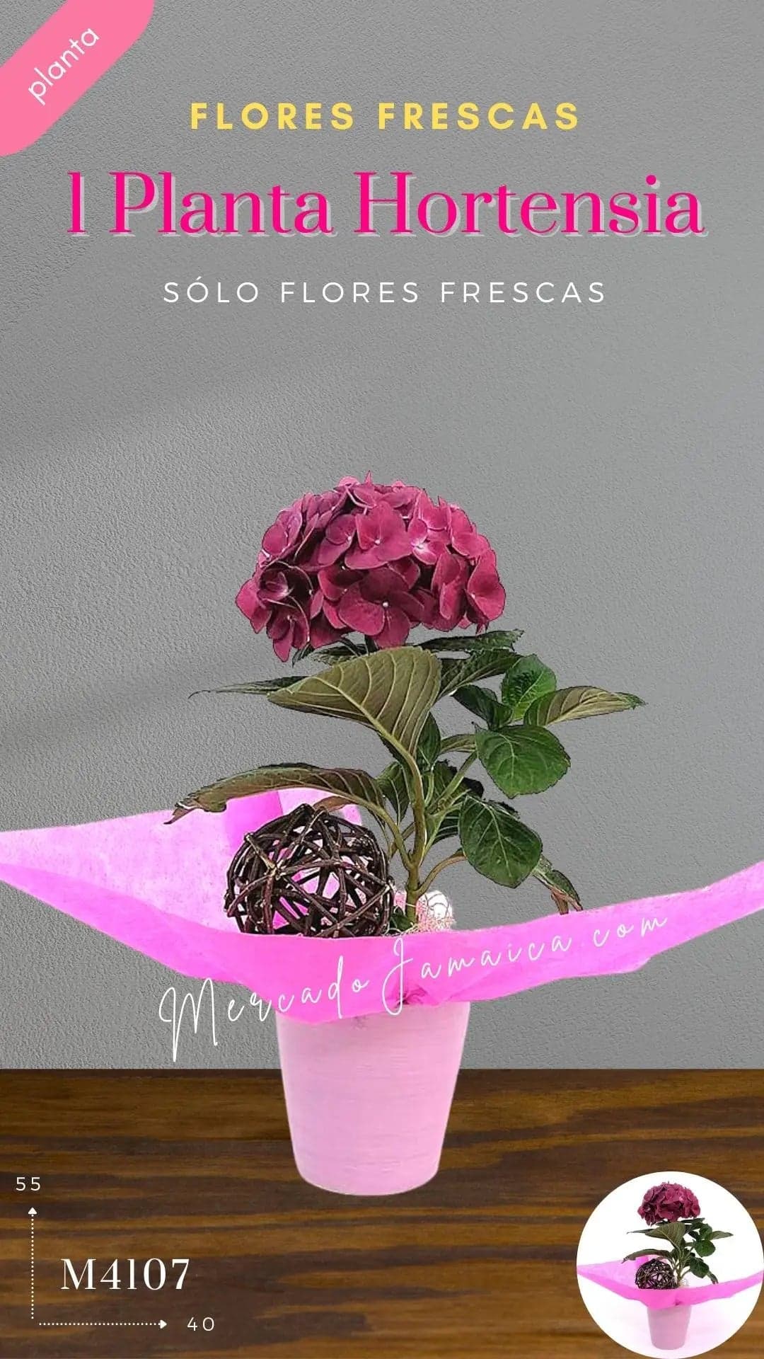 Arreglo Hortensia Lila en Cerámica · CDMX
