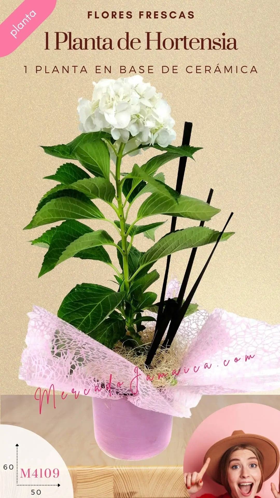 Planta Hortensia Blanca Decorada en Cerámica CDMX