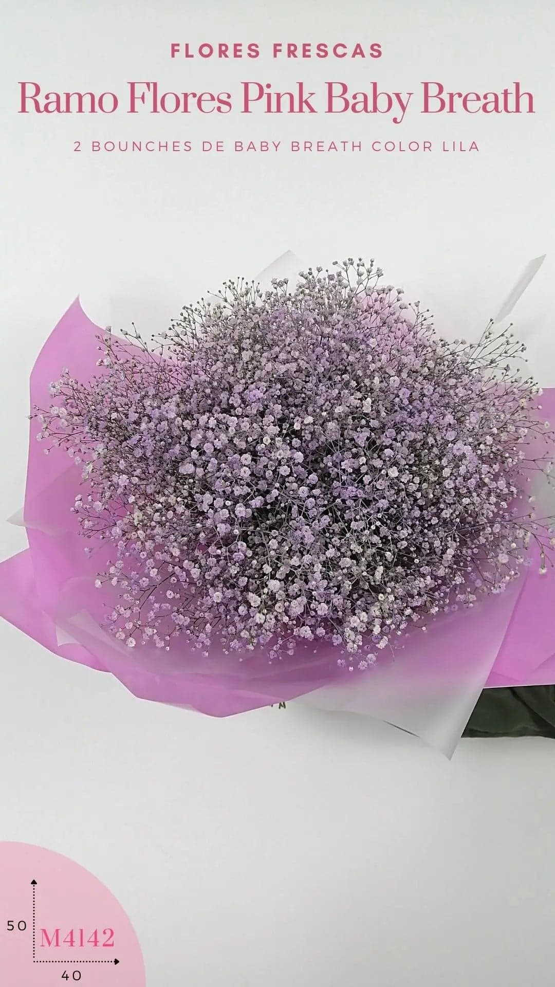 Ramo Baby Breath Pink y Lila con Florero CDMX