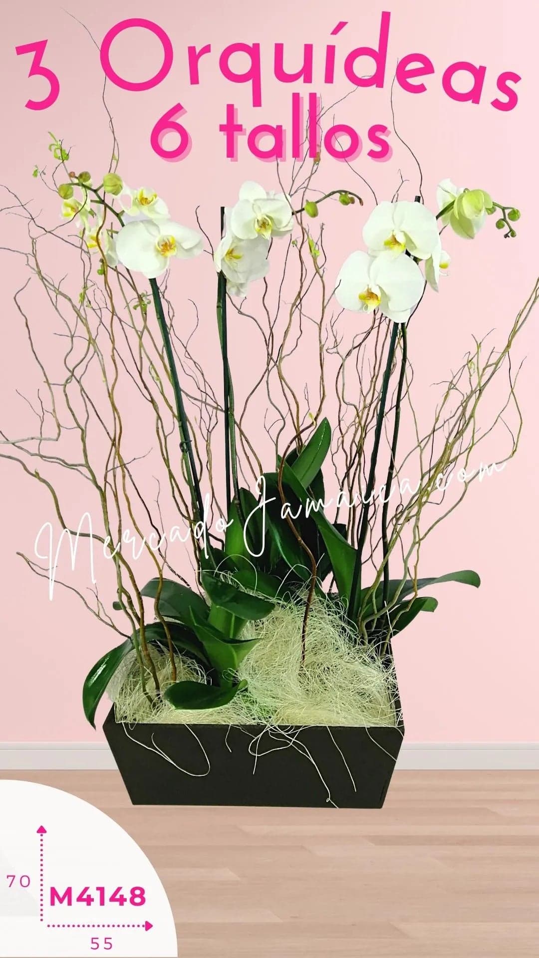 3 Orquídeas Phalaenopsis Blancas Doble Tallo CDMX