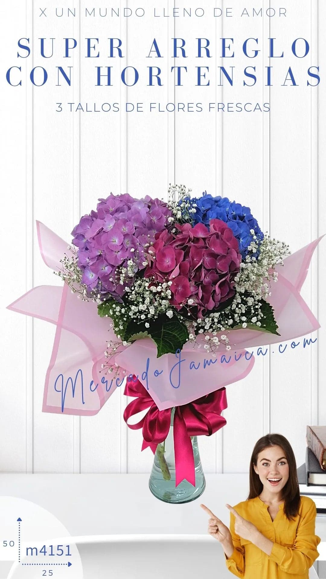 Arreglo 3 Hortensias Azul, Rosa y Lila CDMX