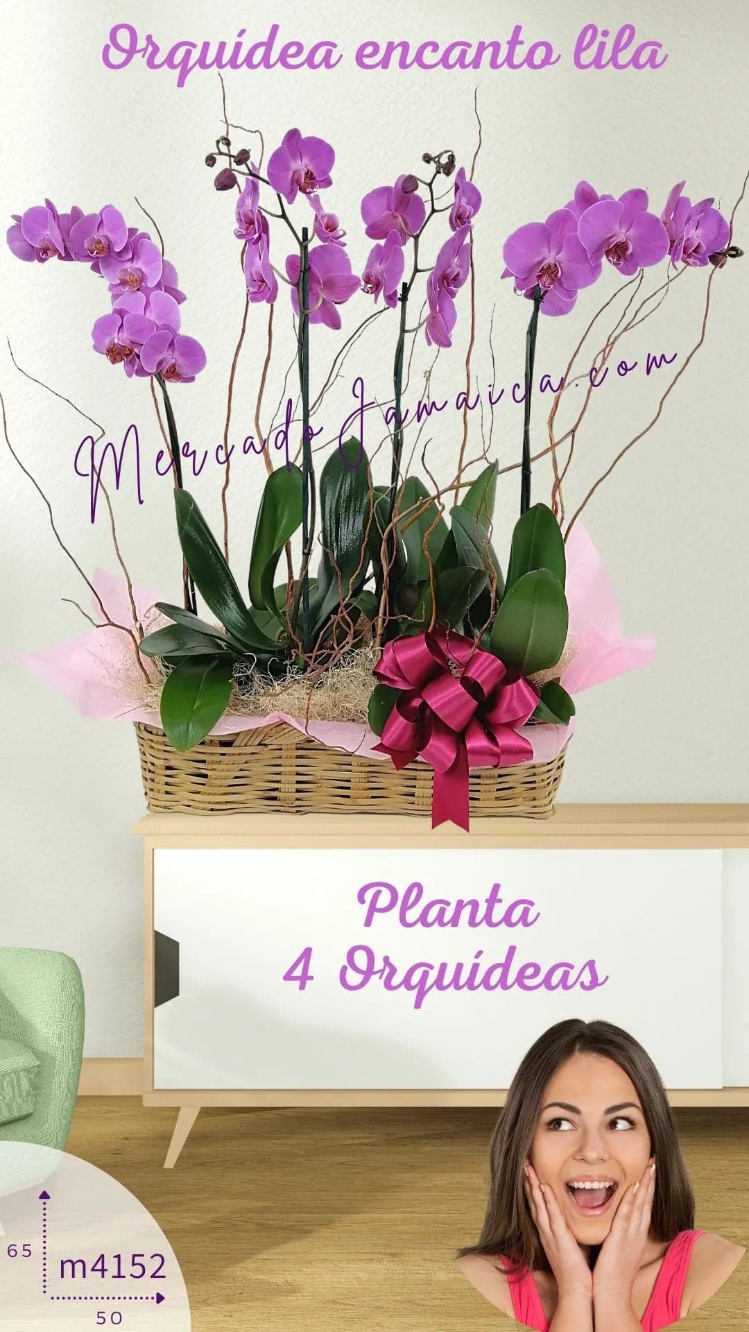 4 Orquídeas Phalaenopsis en Corazón | CDMX
