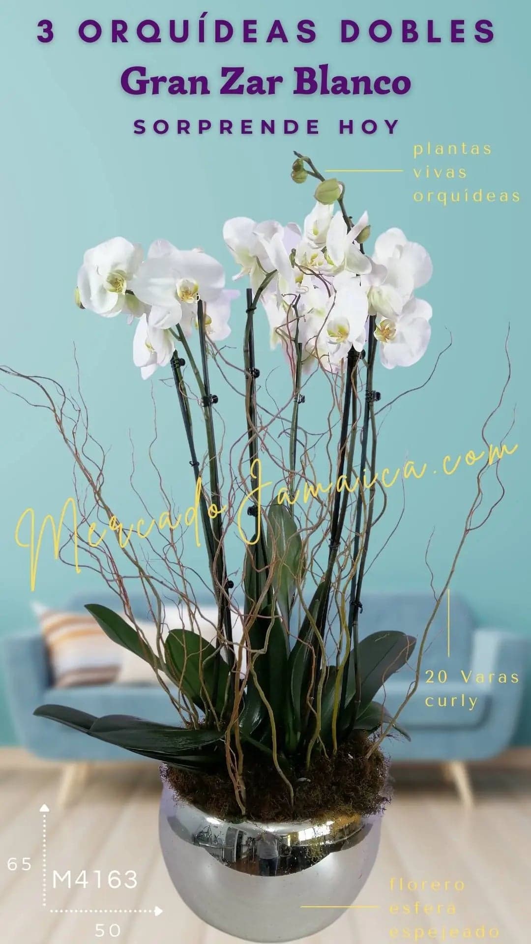 3 Orquídeas Phalaenopsis Blancas Doble Tallo CDMX