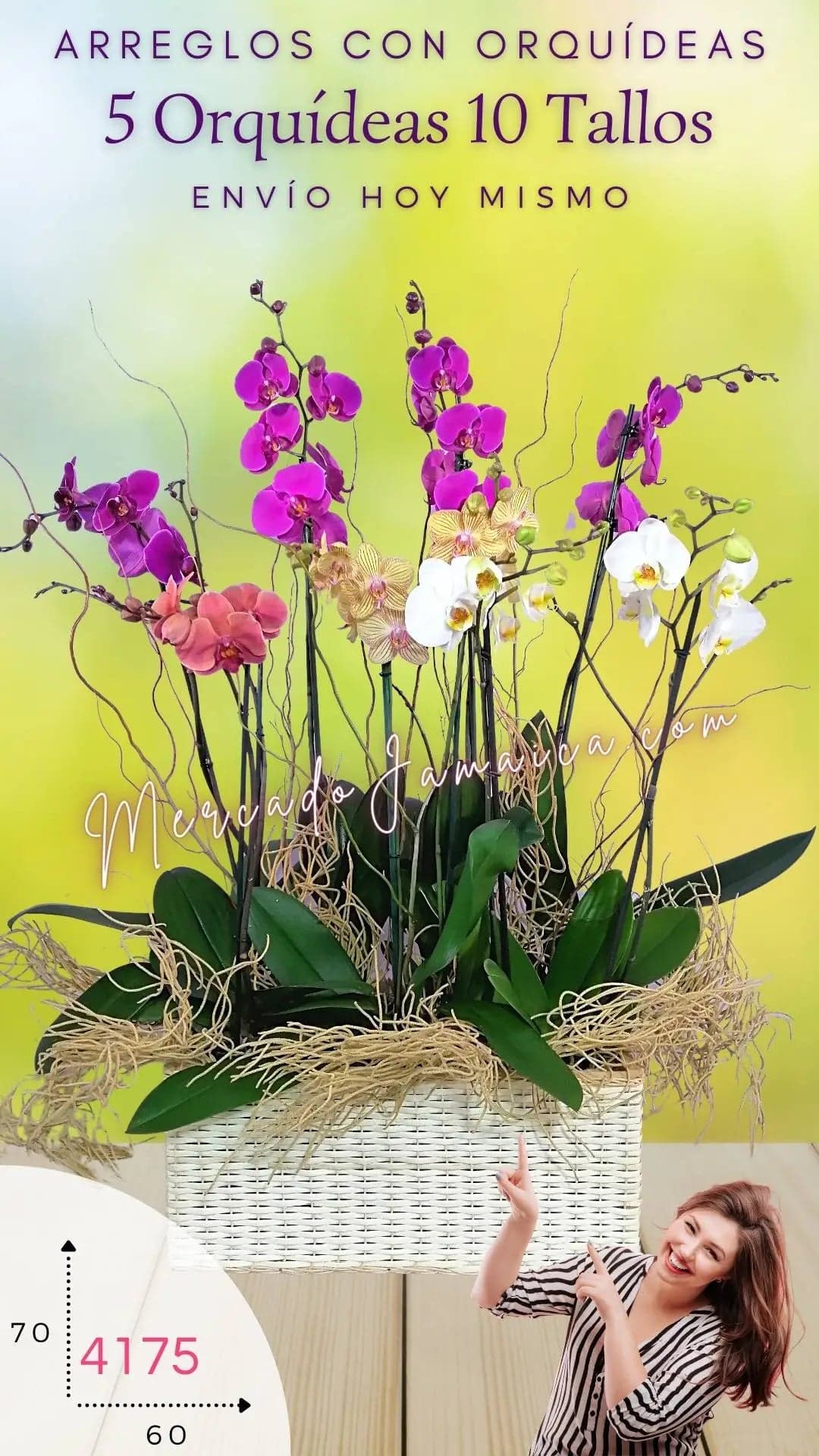 5 Orquídeas Phalaenopsis Doble Tallo en Canasta CDMX