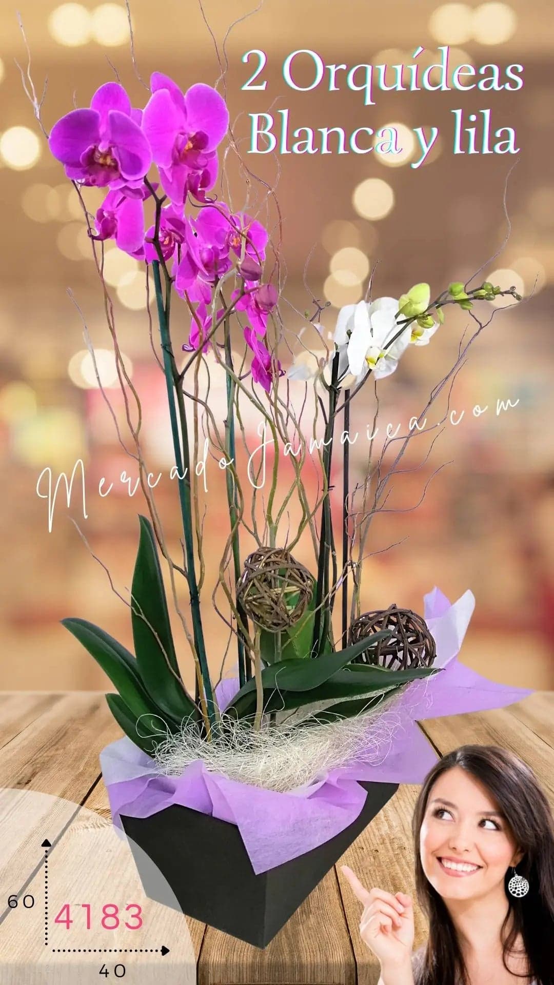 Orquídeas Phalaenopsis Lila y Blanca Doble Tallo CDMX