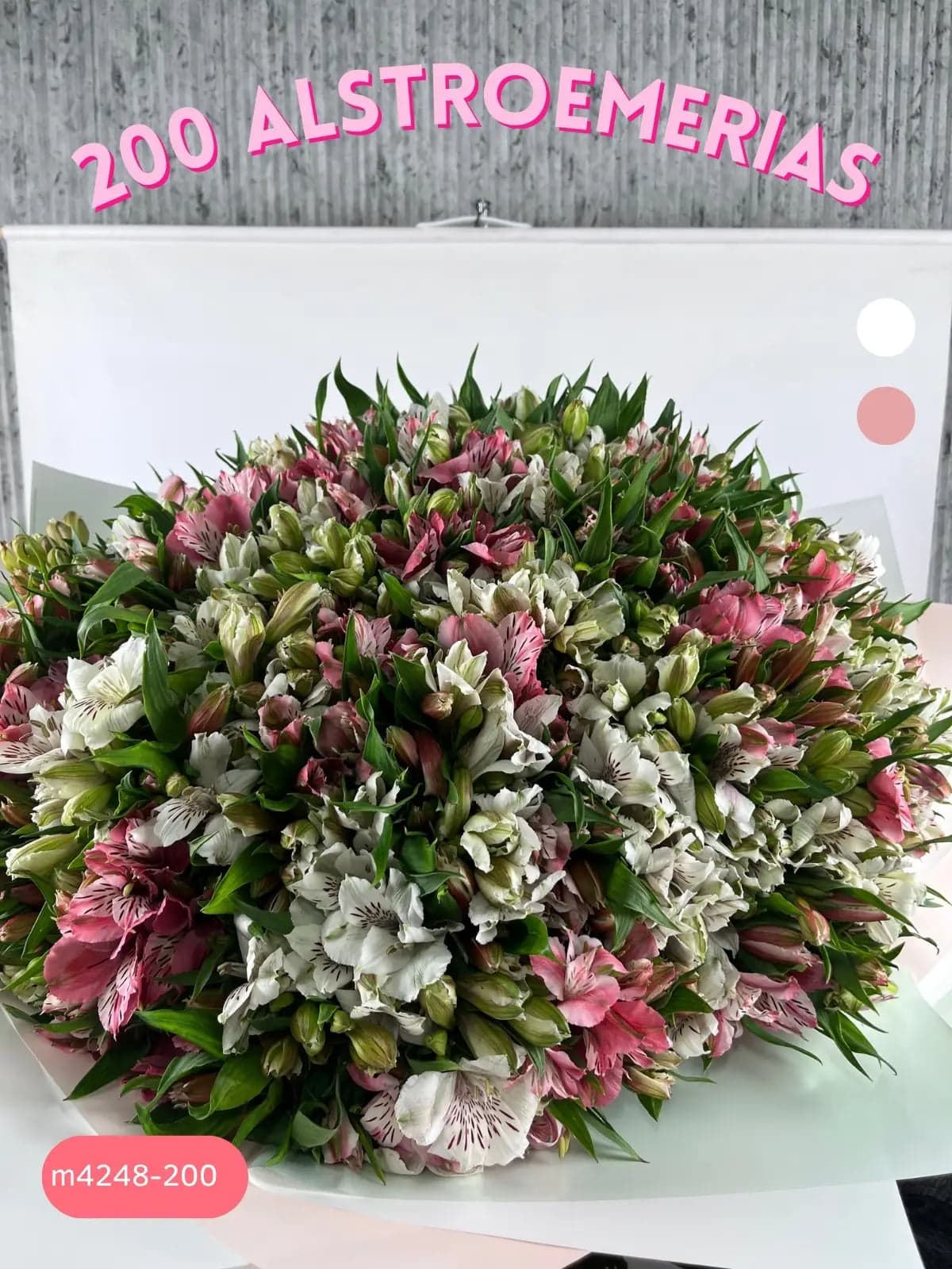 200 Alstroemerias Blancas y Rosas a Domicilio CDMX