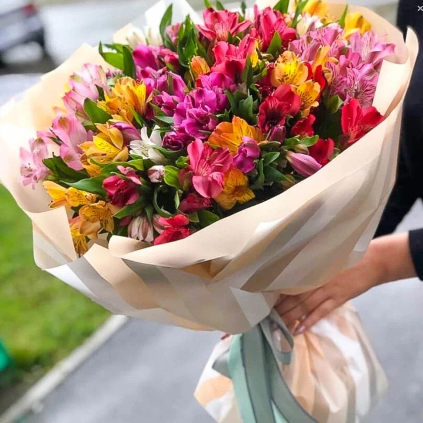 Ramo 50 Alstroemerias 5 Colores a Domicilio CDMX