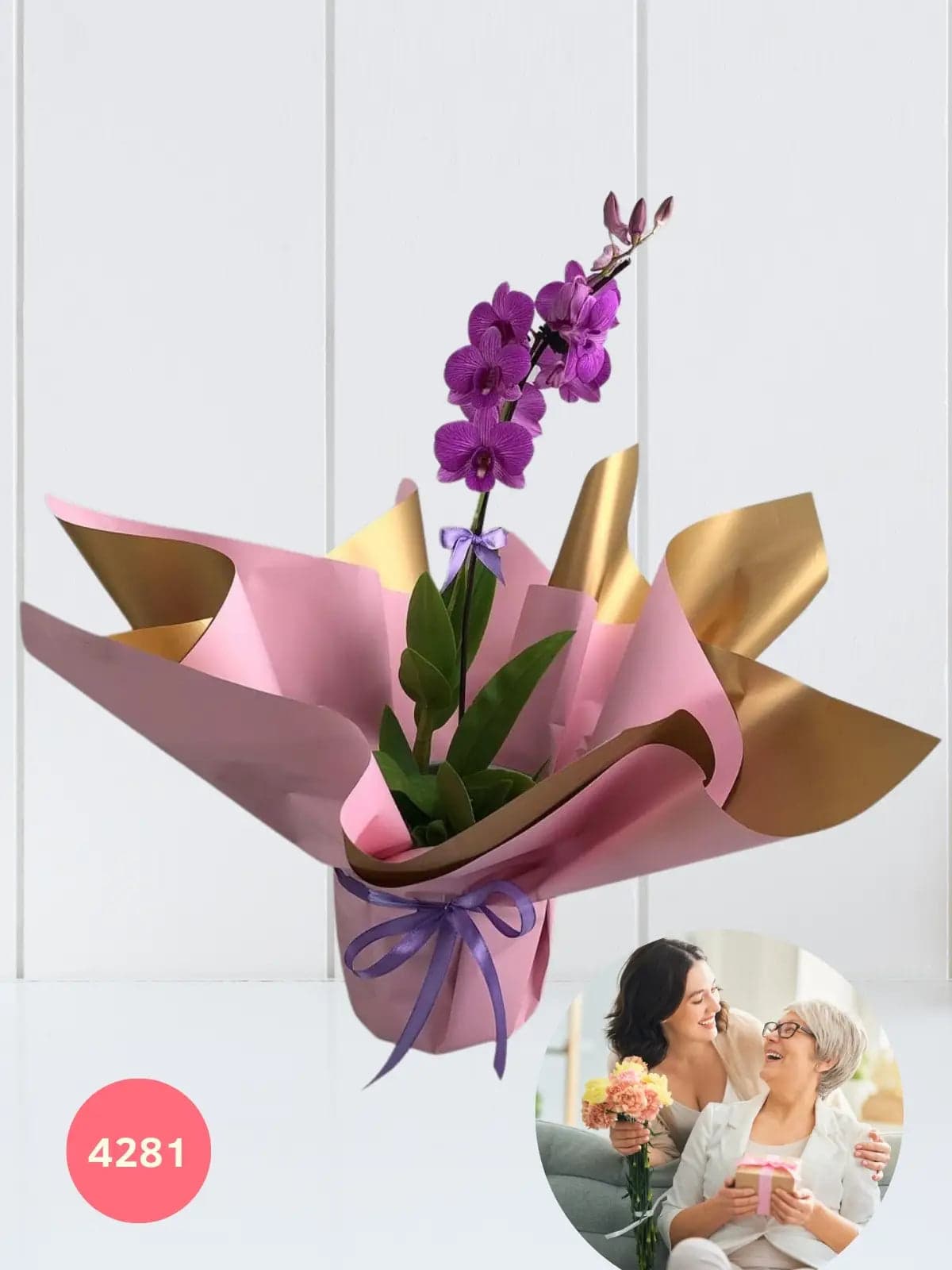 Orquídea Phalaenopsis Doble Tallo para Mamá CDMX