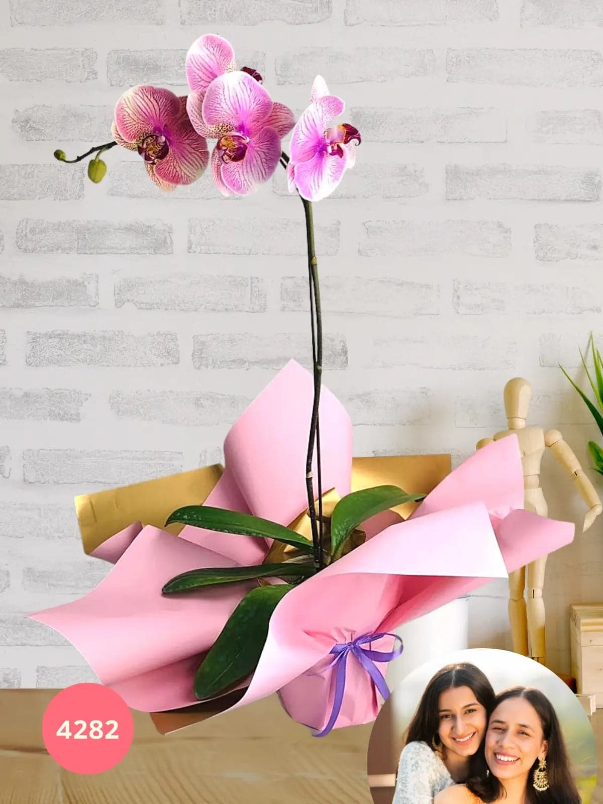 Arreglo Orquídea Phalaenopsis 2 Tallos · Día de Mamá