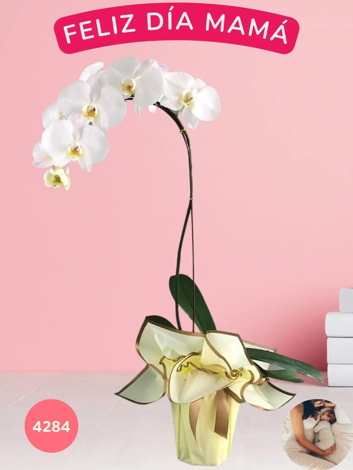 Orquídea Phalaenopsis Doble Tallo · Día de Madres CDMX
