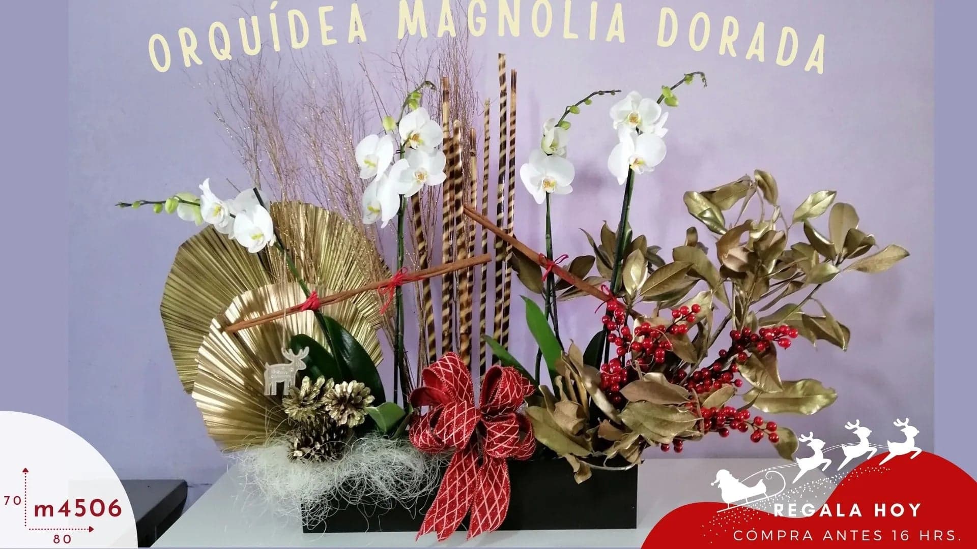 Arreglo Navidad Orquídeas Blancas y Magnolia CDMX