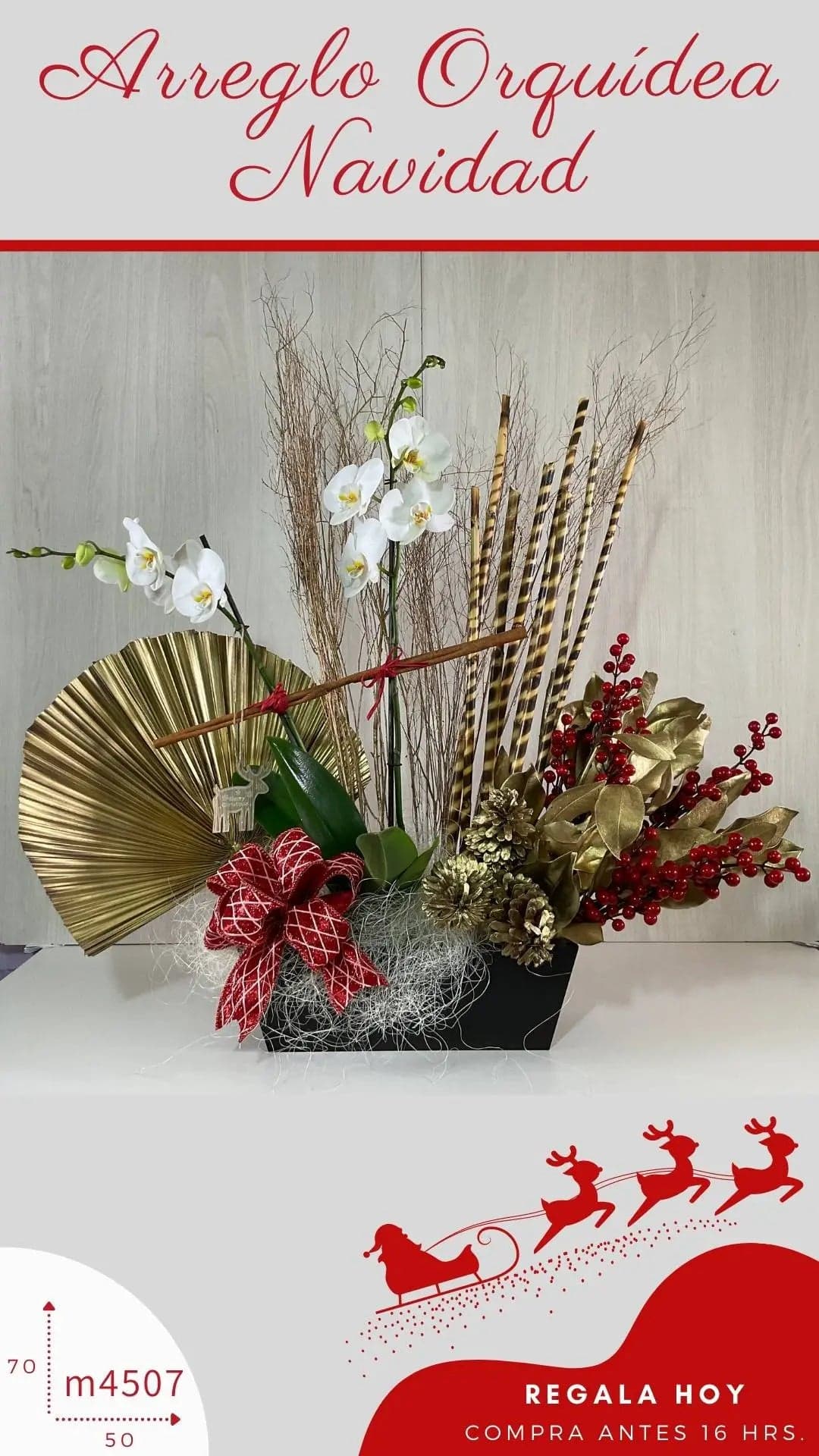 Arreglo Navidad Orquídea Blanca Dorada CDMX