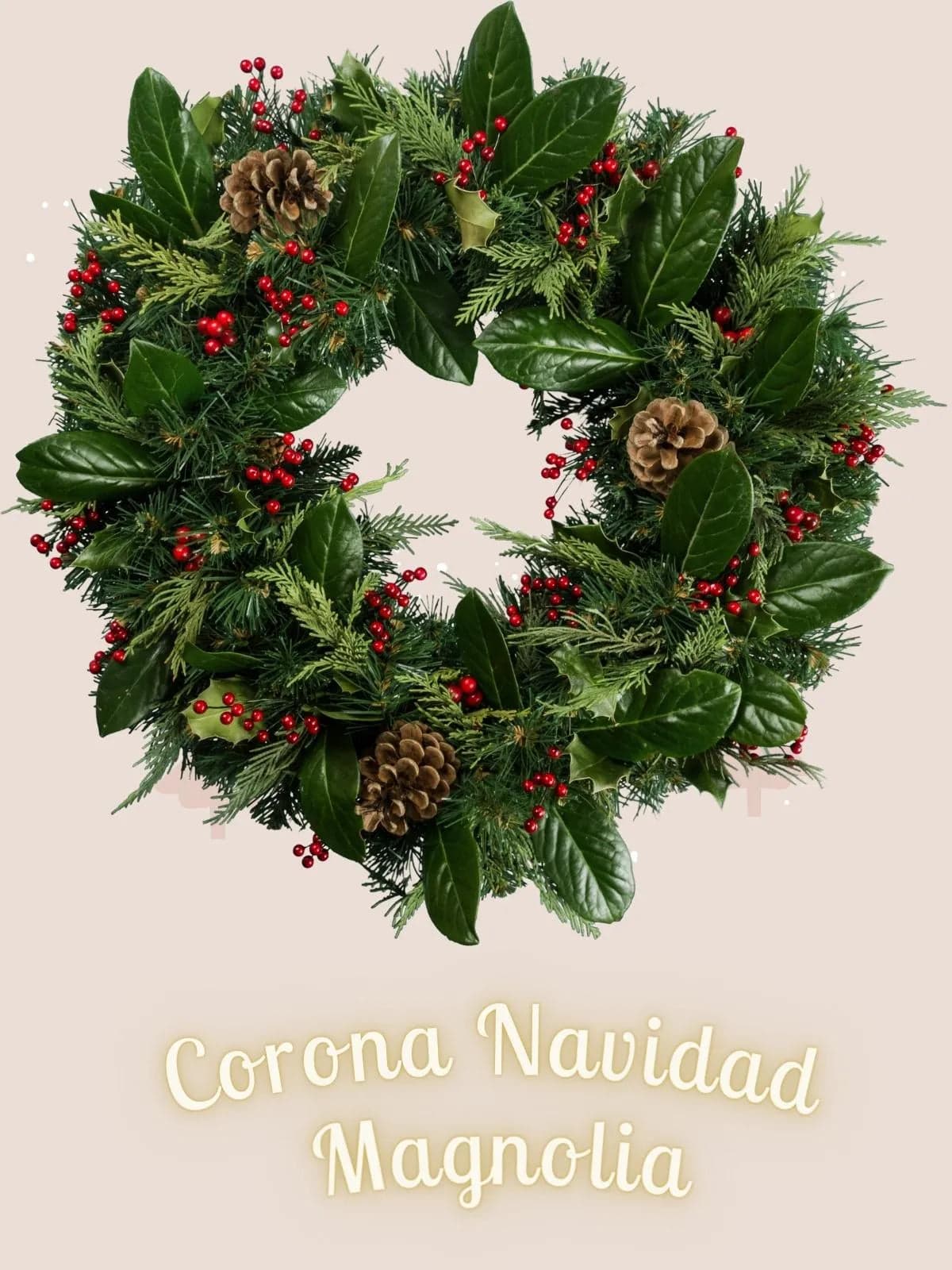 Corona Navideña Magnolia y Pino | CDMX a Domicilio