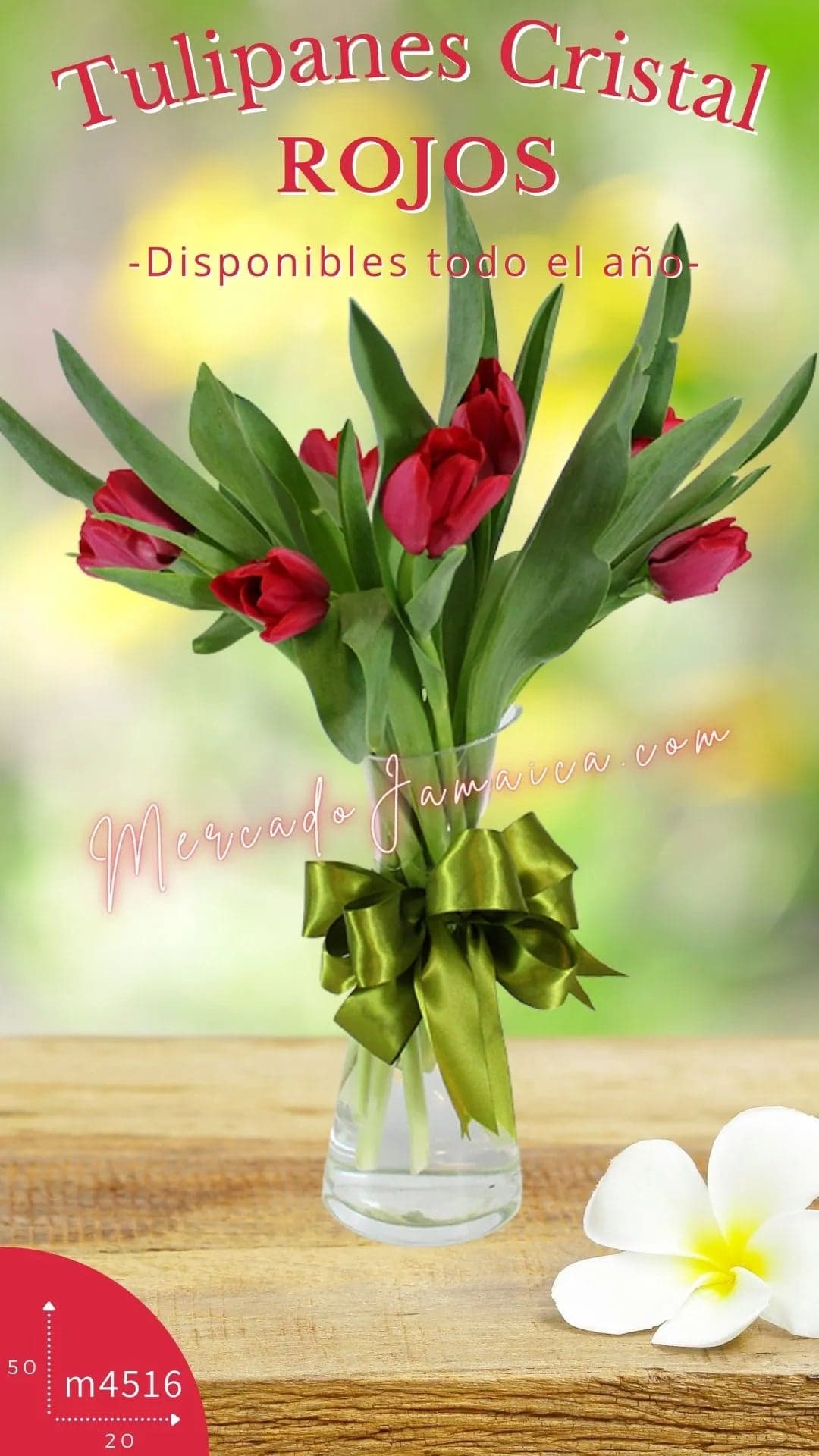 10 Tulipanes Rojos en Cristal · Entrega CDMX