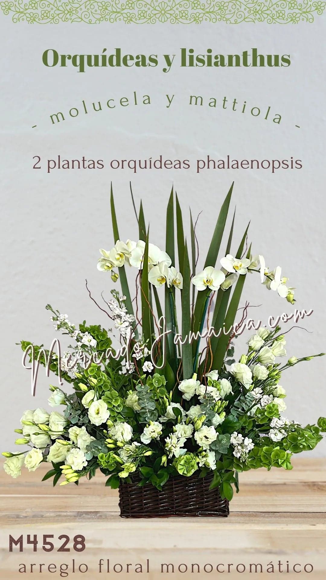 Arreglo Fúnebre 2 Orquídeas Blancas Phalaenopsis CDMX