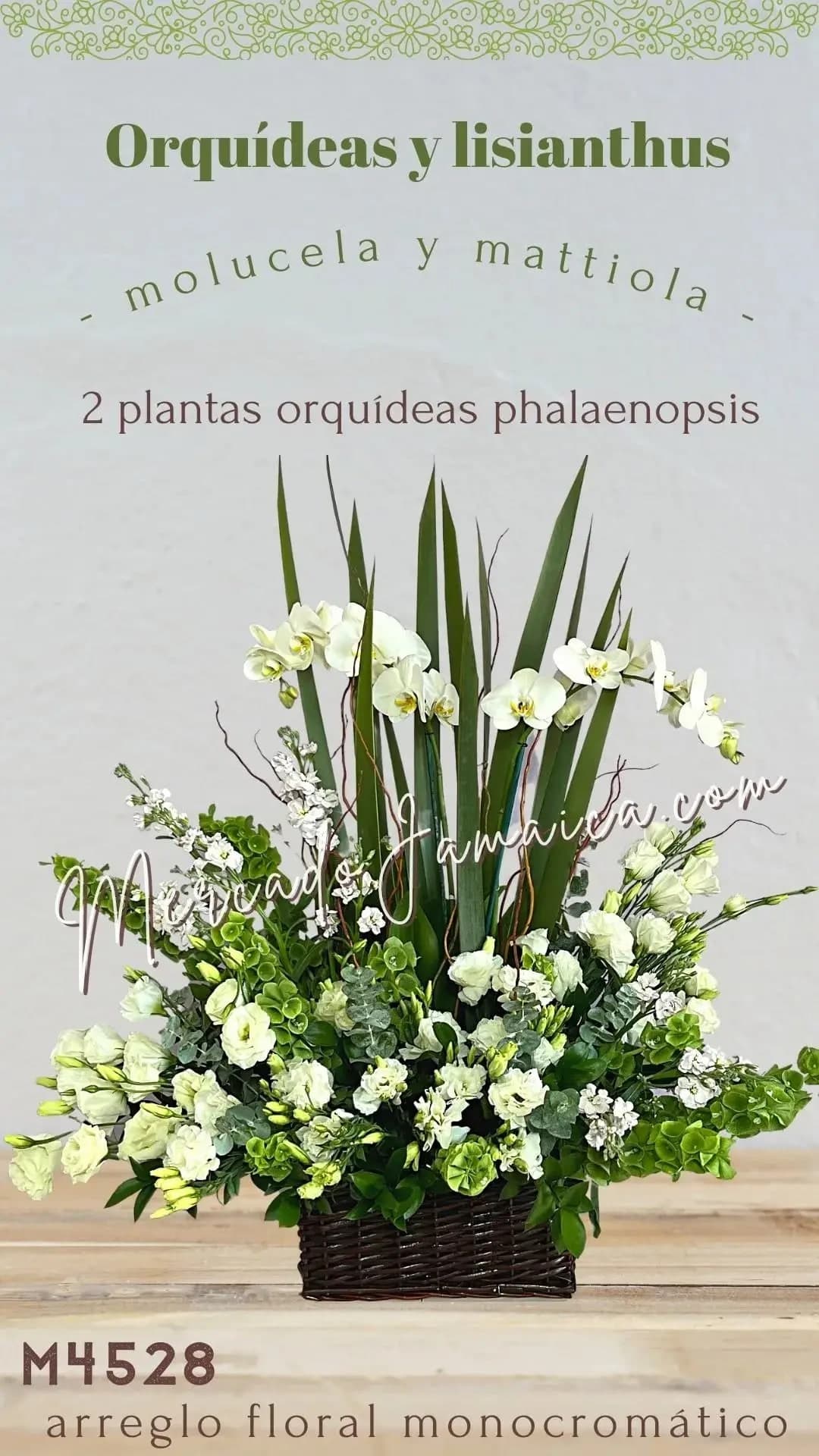 Arreglo Fúnebre 2 Orquídeas Blancas Phalaenopsis CDMX