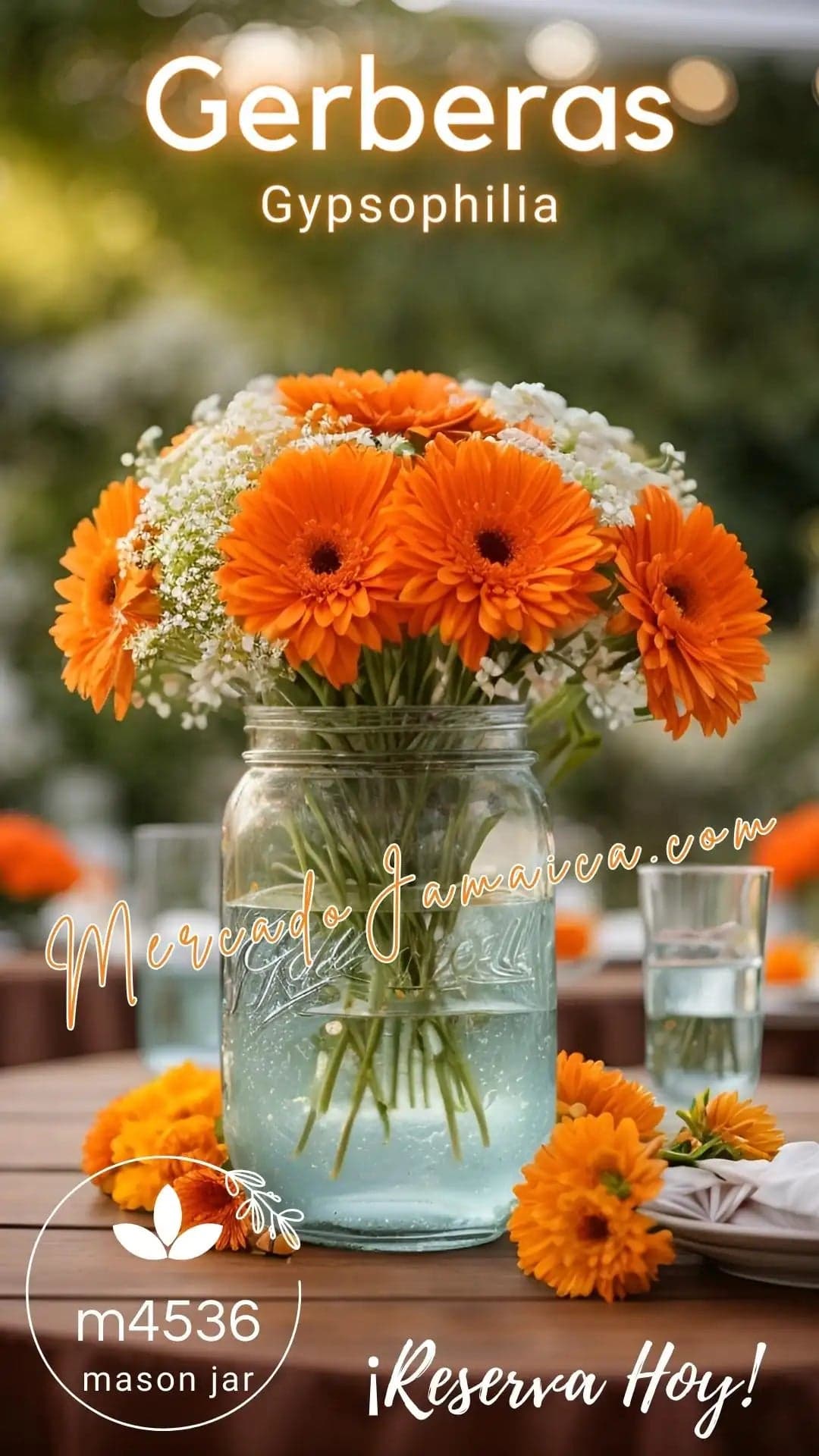 Heritage Jars Co Gerberas con Gypsophilia