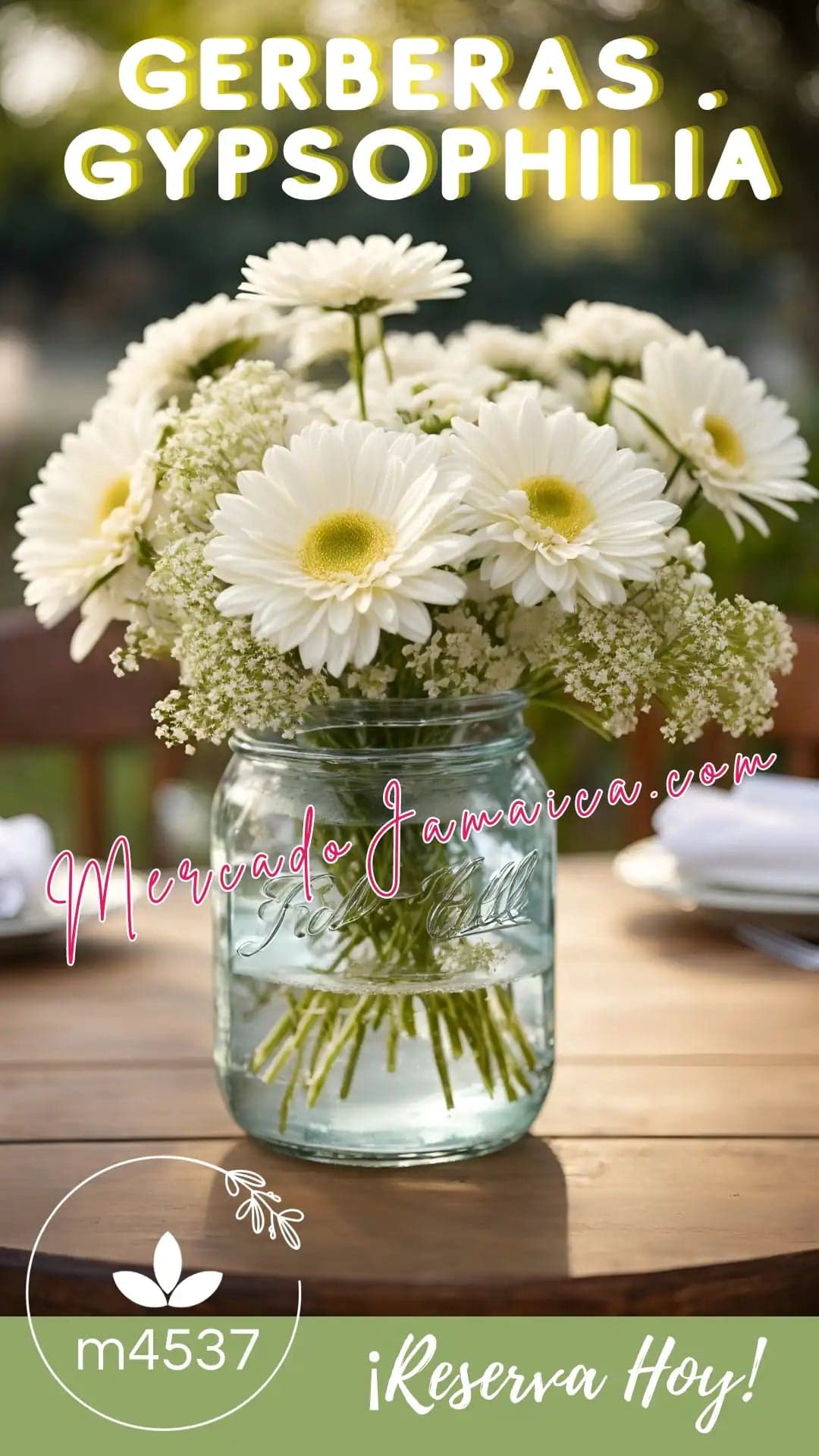 Mason Era designs Gerberas Blancas y Gypsophilia