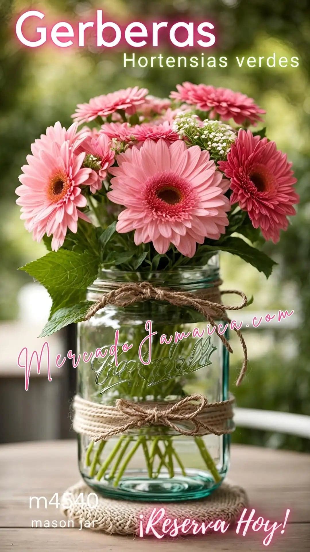 Antique Aegis Jars Gerberas Rosas y Hortensias