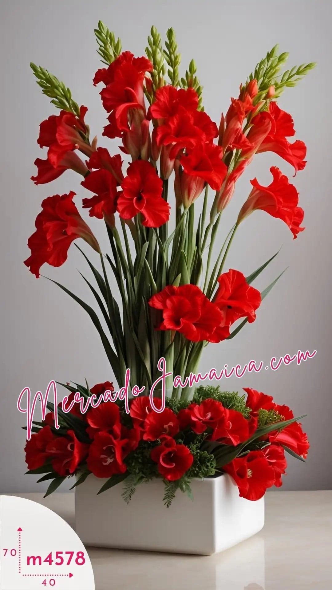 30 Gladiolas Rojas Arreglo Fúnebre CDMX