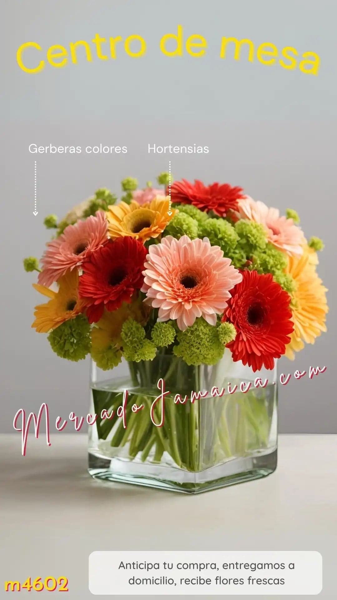 Centro de Mesa Cubo 10 Gerberas de Colores CDMX