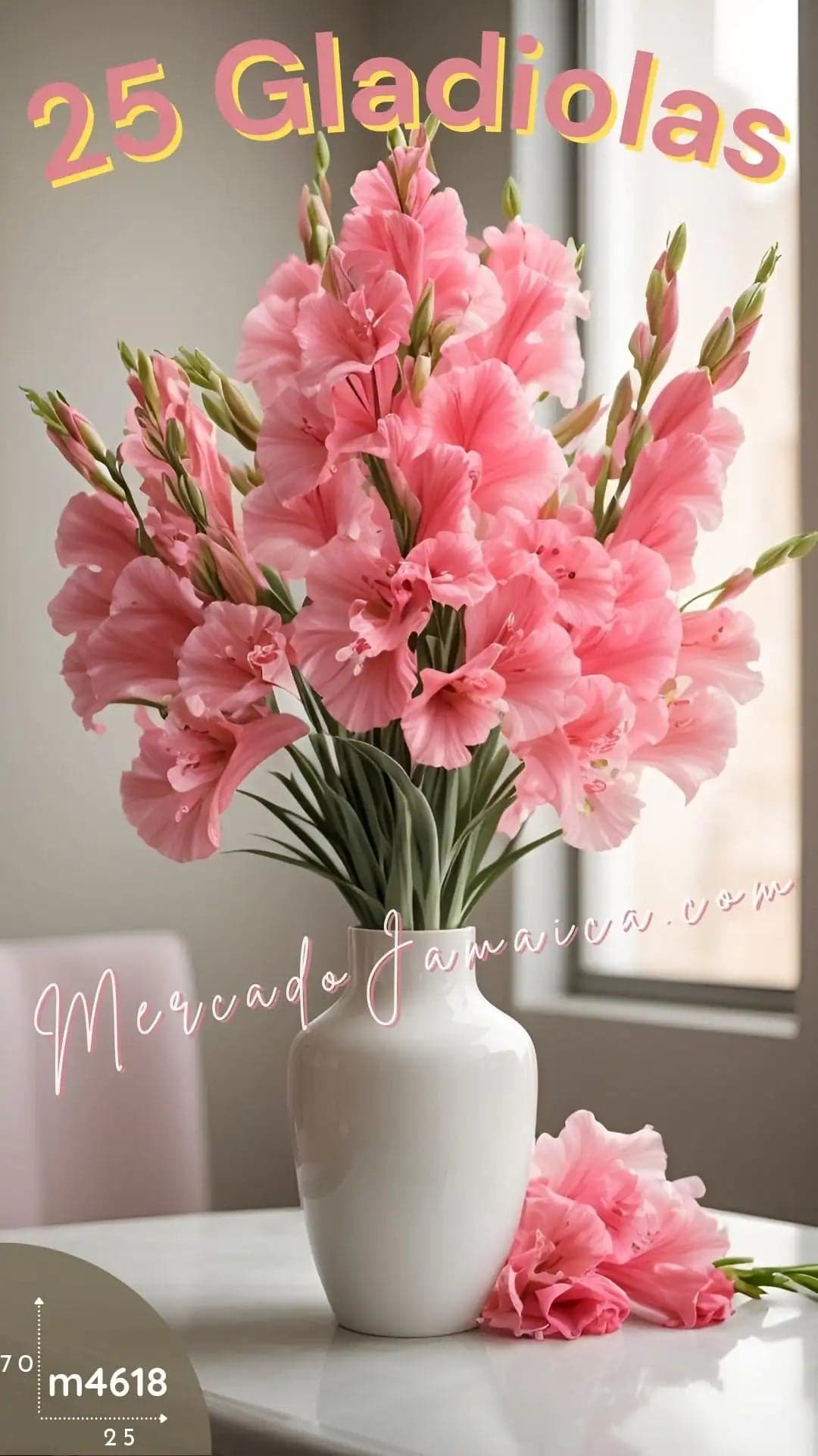 25 Gladiolas Rosas en Florero | Entrega CDMX