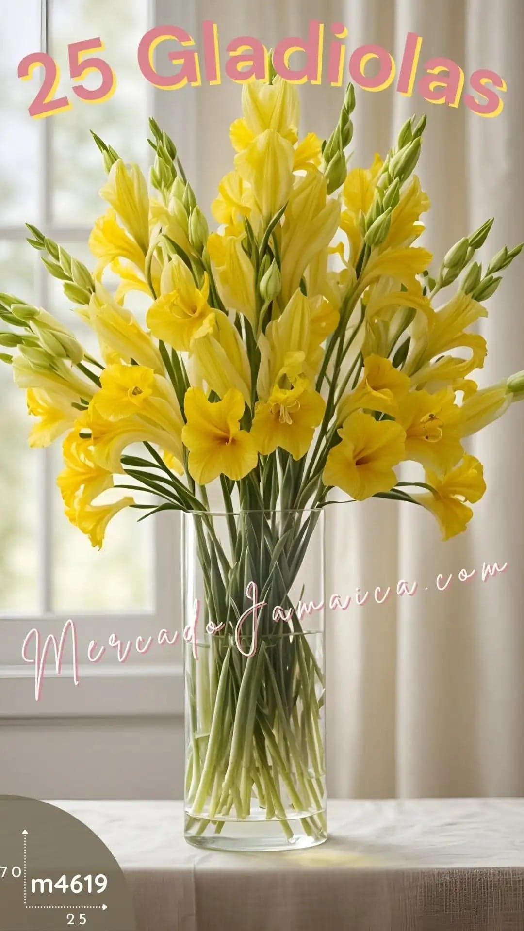 25 Gladiolas Amarillas en Florero – Entrega CDMX