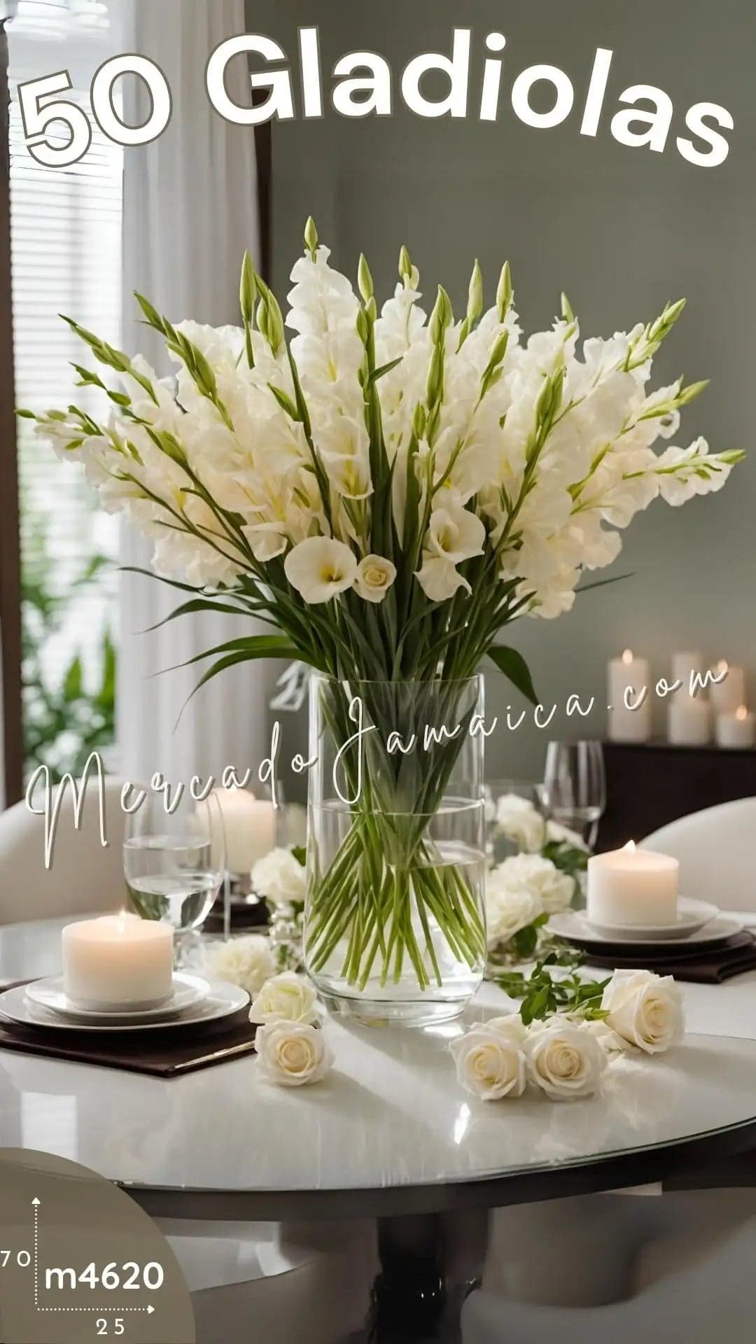 50 Gladiolas Blancas en Florero – CDMX