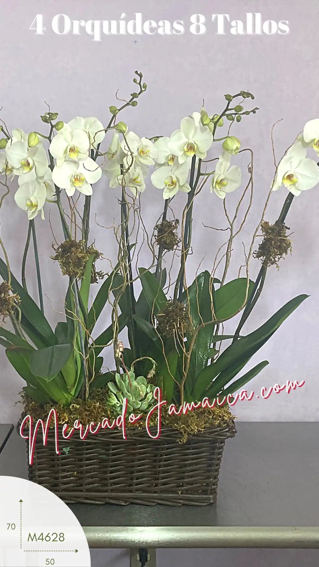 Canasta Fúnebre Orquídeas Blancas Phalaenopsis CDMX