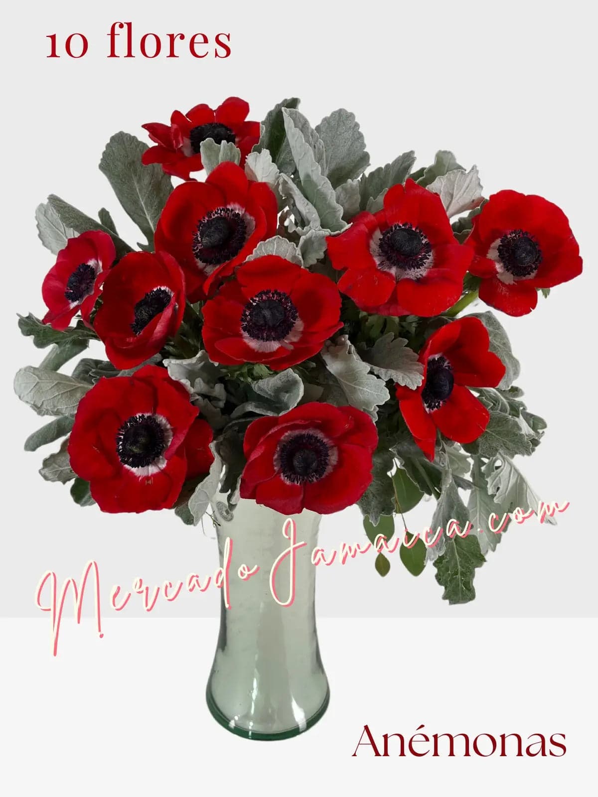 10 Anémonas Rojas en Florero | CDMX a Domicilio