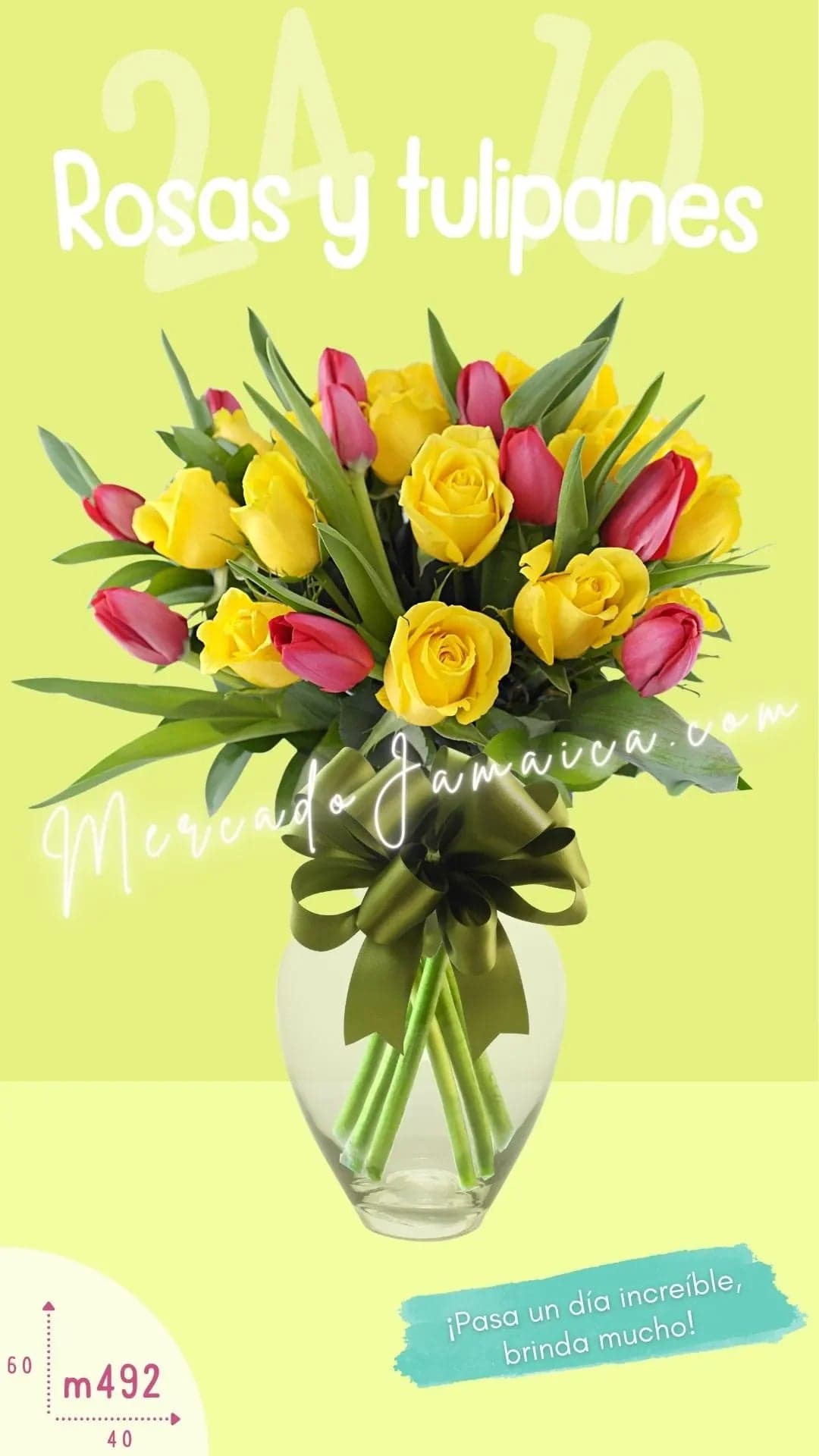 10 Tulipanes Rojos y 24 Rosas Red Marvel CDMX