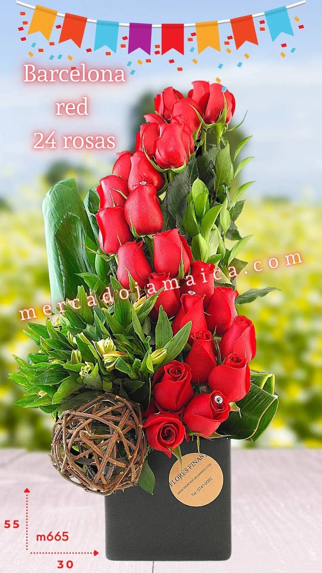Arreglo 24 Rosas Rojas Barcelona Red CDMX