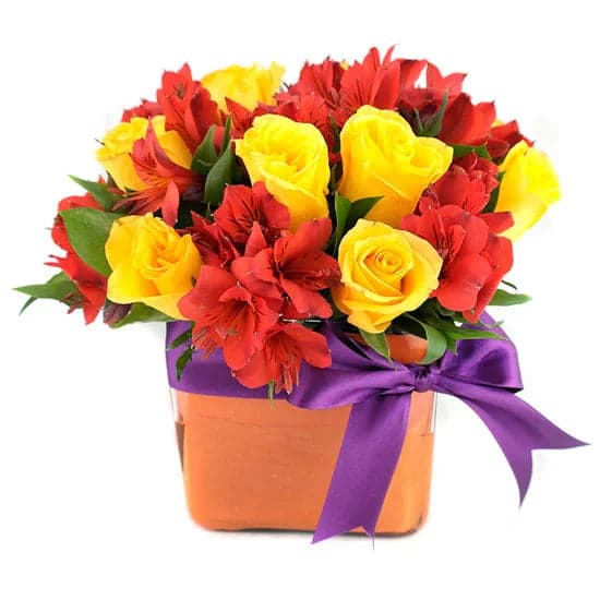12 Rosas Amarillas y Alstroemerias Rojas CDMX