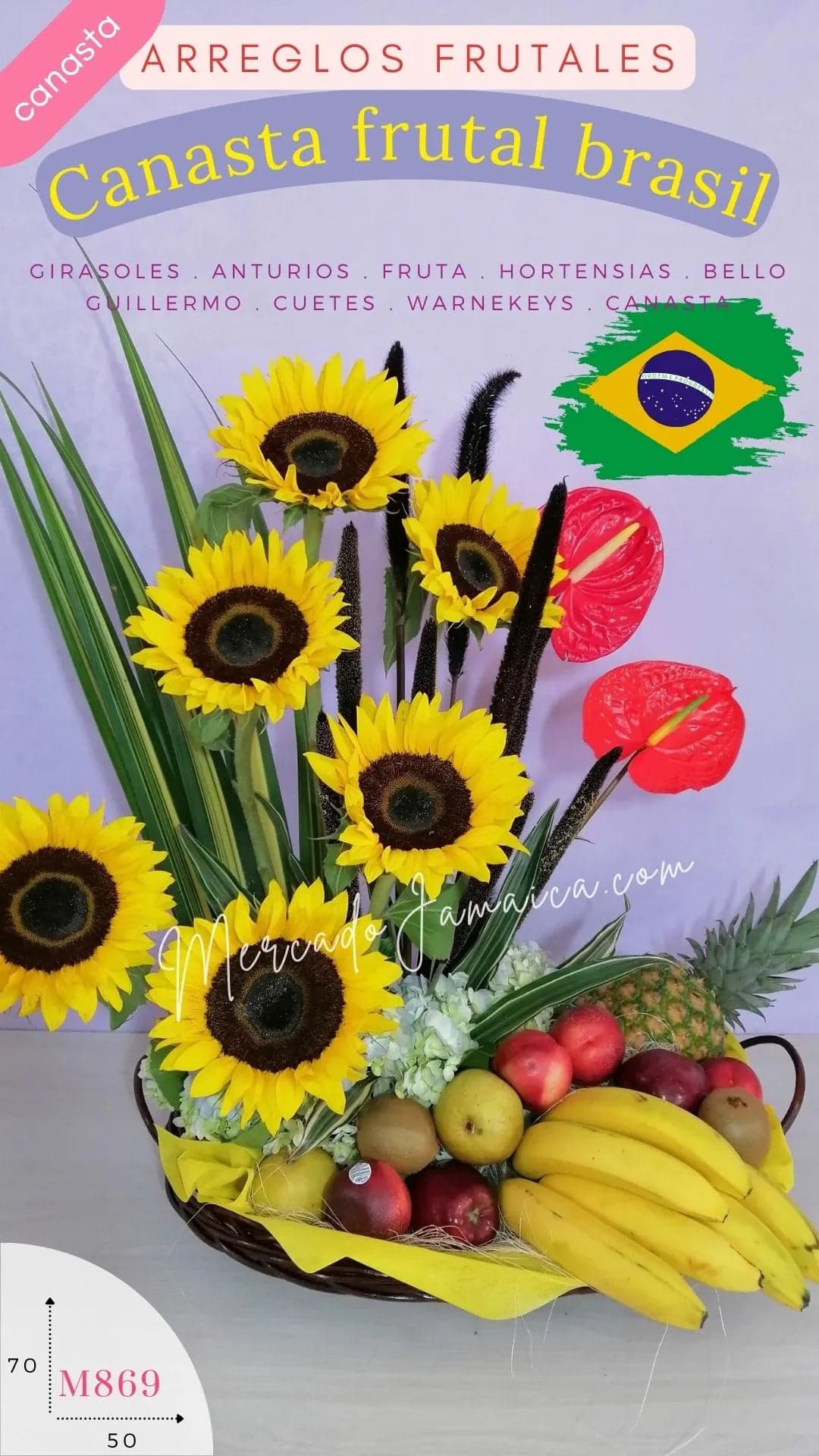 Canasta Brasil: 6 Girasoles y Anturios CDMX