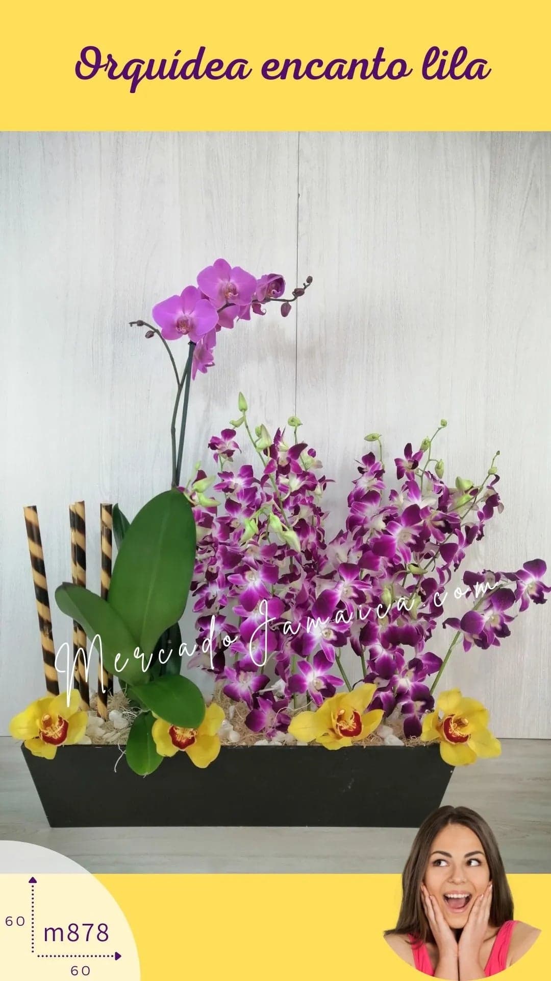 Arreglo Orquídeas Lila Phalaenopsis CDMX