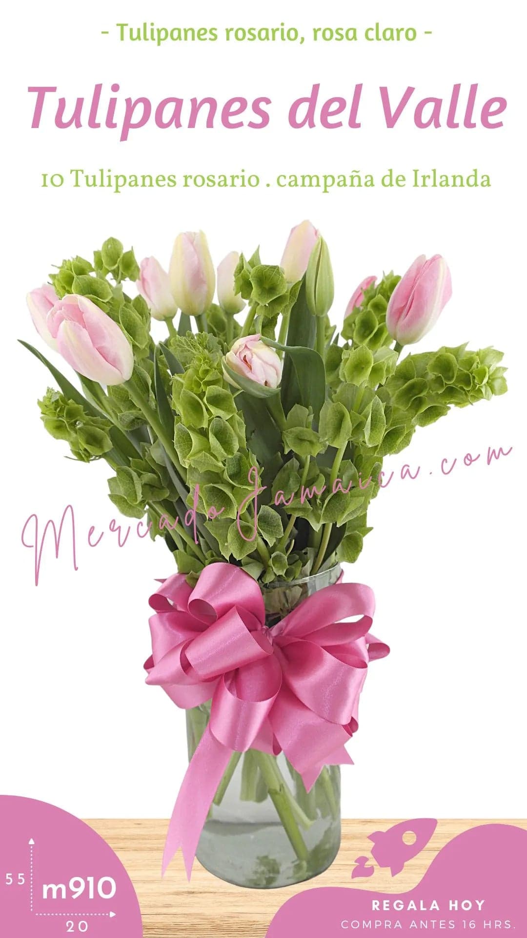 10 Tulipanes Rosa con Molucela en CDMX