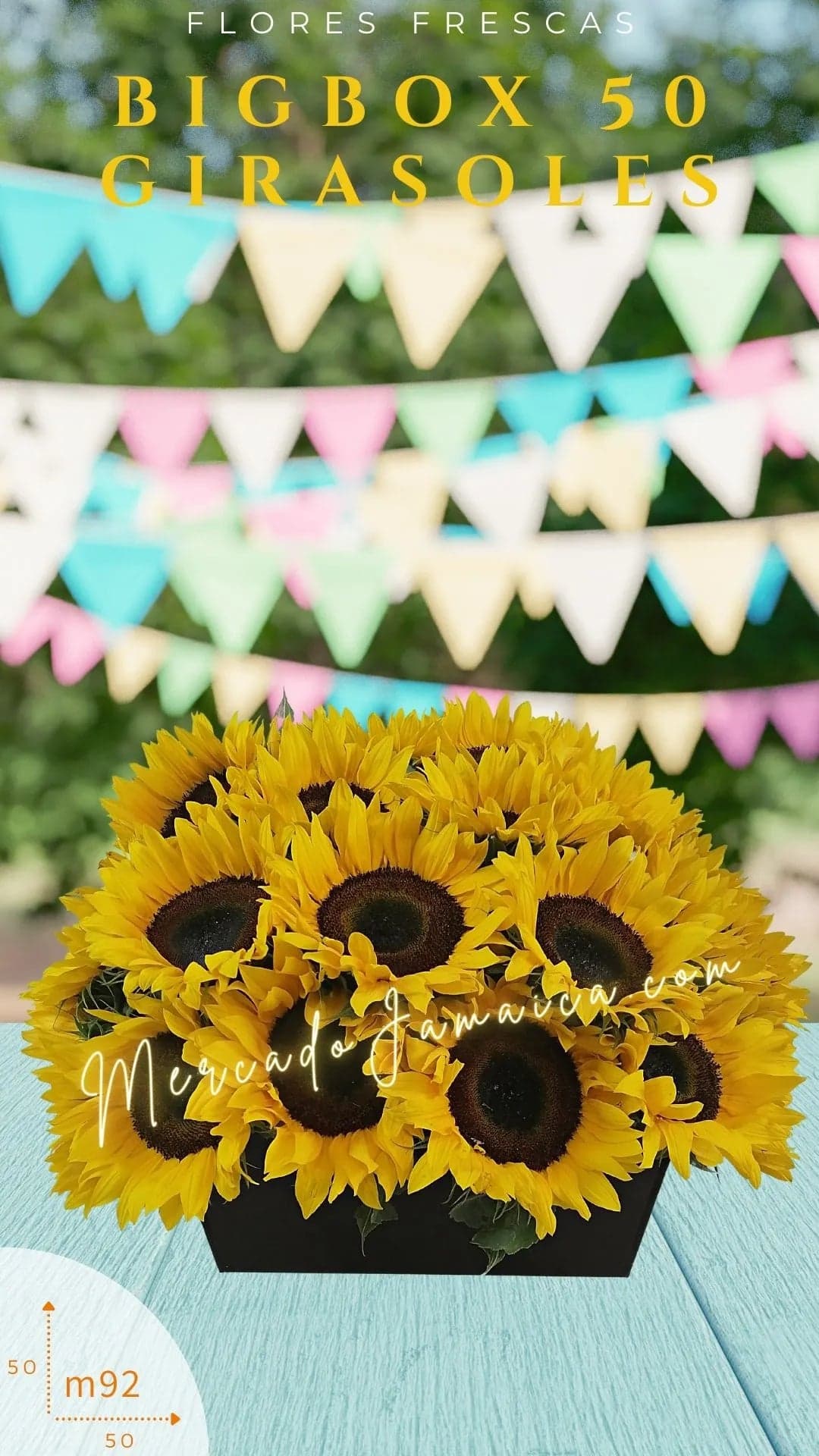 Arreglo 50 Girasoles Amarillos en Caja CDMX
