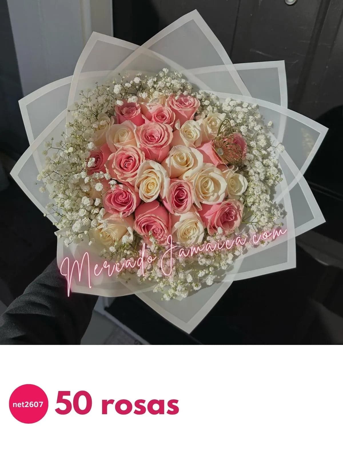 Ramo 48 Rosas Rosa y Blancas con Gypsophilia CDMX