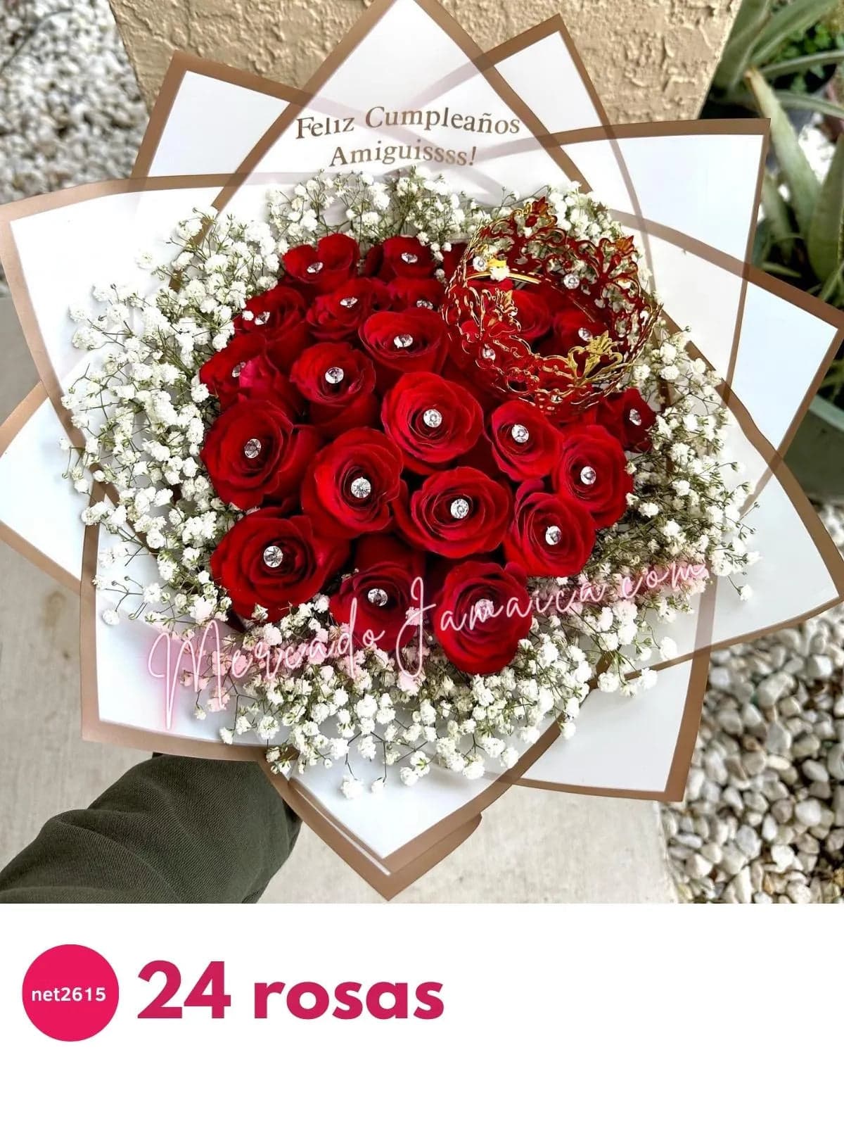 24 Rosas Rojas con Corona y Gypsophilia CDMX