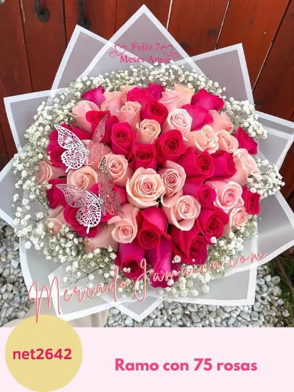 Ramo Buchón 75 Rosas Rojas, Fucsia y Rosa CDMX