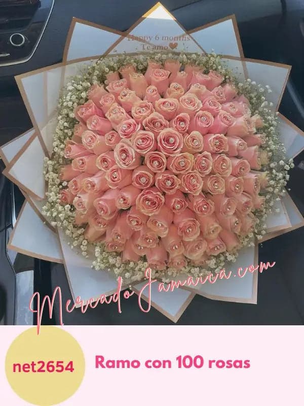 Ramo Buchón 100 Rosas Rosadas con Gypsophilia CDMX