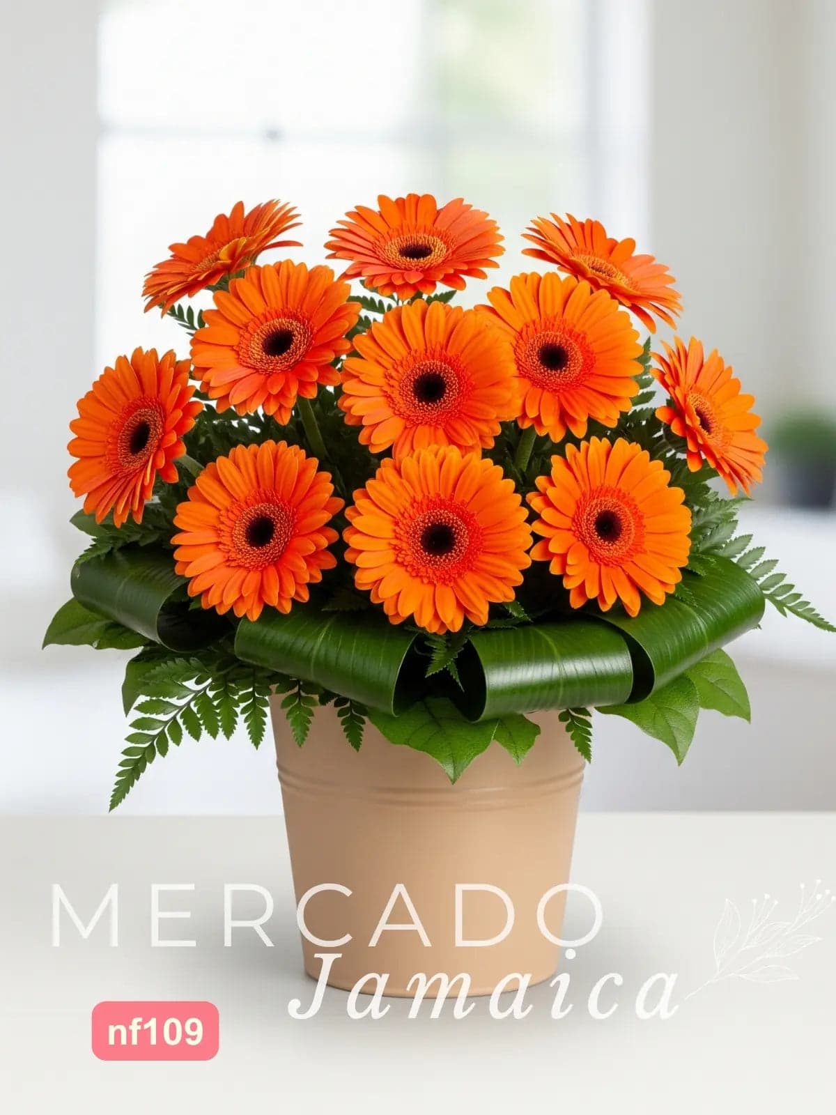 10 Gerberas Naranja en Cubeta Cerámica CDMX