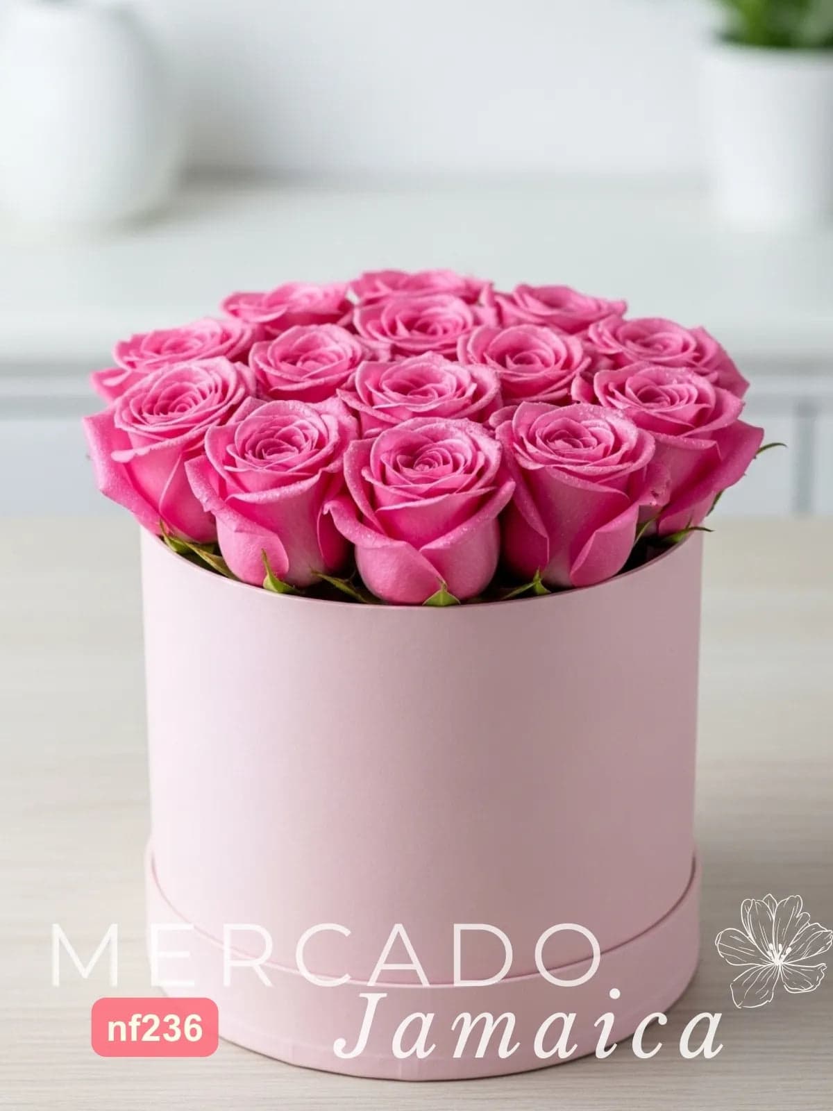 24 Rosas Rosas en Caja Cilíndrica · Entrega CDMX